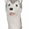 Daphnes Daphne's Husky Golf Headcover -Golf Accessories Sales Store 710489502239