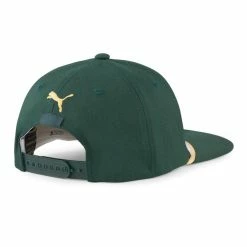 Puma Mens Prevent Bogeys Snapback Hat -Golf Accessories Sales Store puma mens prevent bogeys greenback